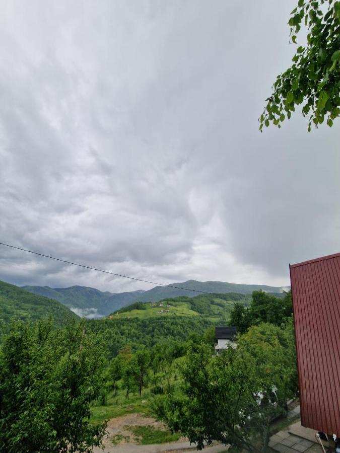 The View D *